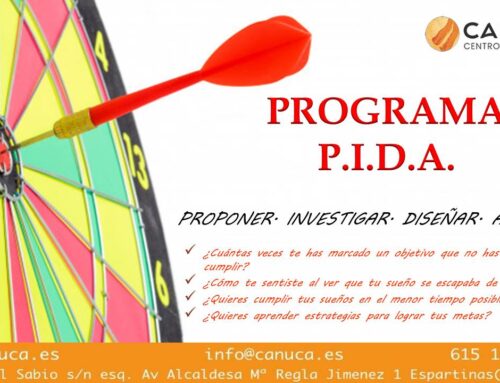 Taller P.I.D.A.
